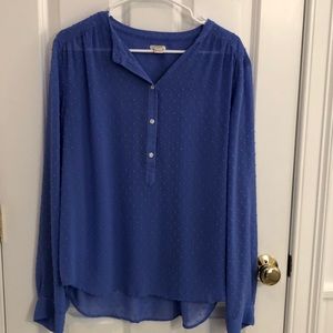 Blue Blouse